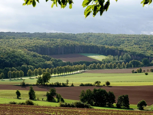 Ausblick Nesselröder Warte