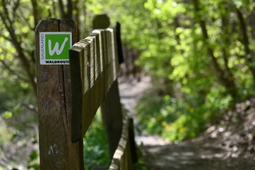 Sauerland Waldroute
