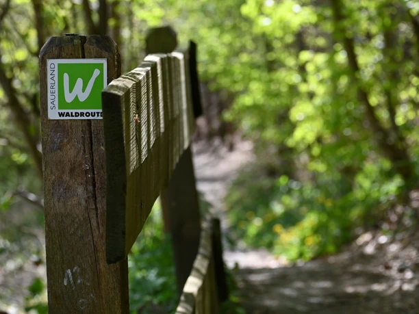 Sauerland Waldroute