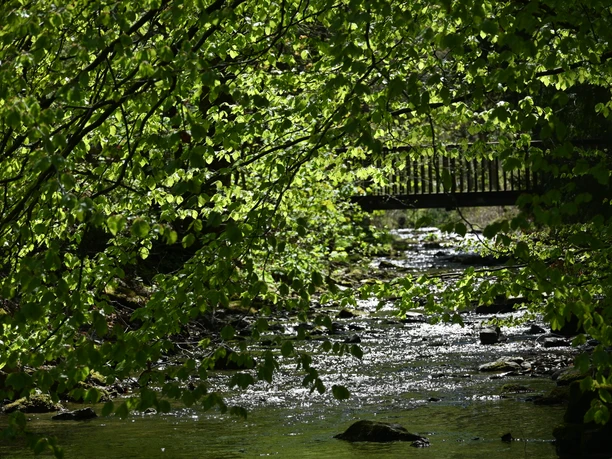 Elpebach in Ostwig