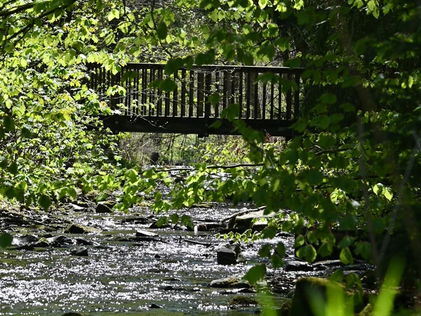 Elpebach in Ostwig