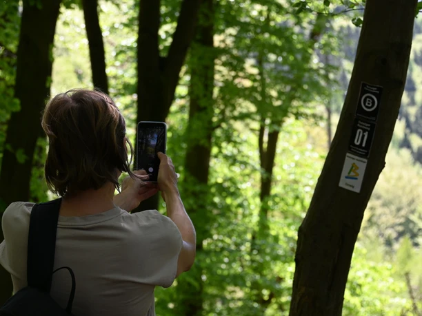 Fotospot am Wanderweg in Ostwig