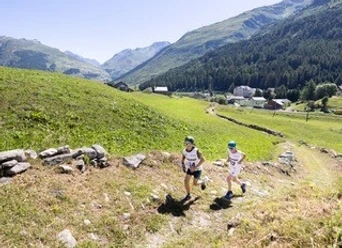 Run for forest 1