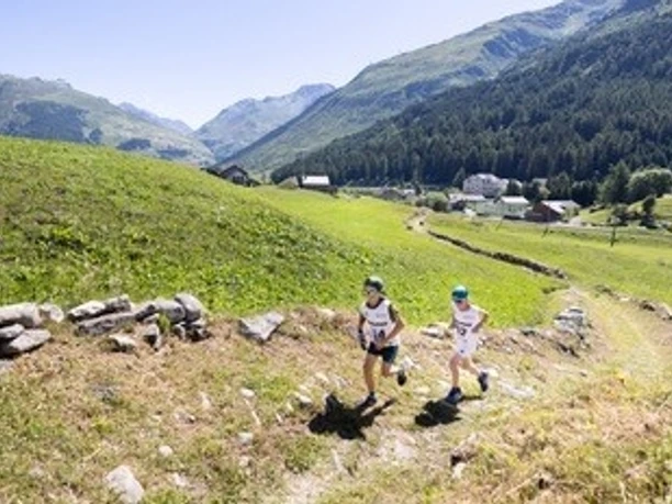 Run for forest 1