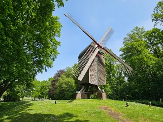 Gesundheitspark Speckenbütterl 20260523_125542 (c) Tanja Mehl_Erlebnis Bremerhaven_WEB.jpg Hölzerne Bockwindmühle zwischen großen, grünen Bäumen unter strahlend blauem Himmel.