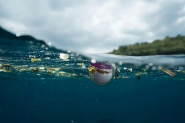 Vortrag zur Kinderuni auf Juist: "Plastik in Flüssen und im Meer – woher kommt das Plastik und wie bekommen wir unsere Umwelt wieder sauber?".jpg Vortrag zur Kinderuni auf Juist: "Plastik in Flüssen und im Meer – woher kommt das Plastik und wie bekommen wir unsere Umwelt wieder sauber?"