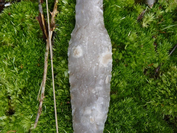 fig. 68.jpg