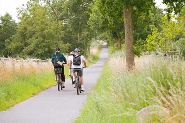 Schleidörfer_Fahrrad_Ancora Film (52).jpg