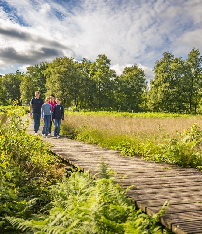 Familienausflug - Emsland Moormuseum, Holzsteg Hochmoorfläche ©Emsland Tourismus GmbH (2).jpg