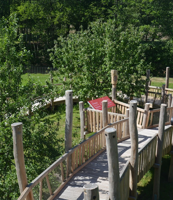 Emsland Moormuseum_Obstbaumwipfelpfad.JPG