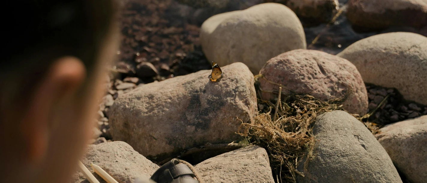 NATURE JOURNALING Kind am Wasser zeichnet, ein Schmetterling sitzt auf einem Stein am Ufer.