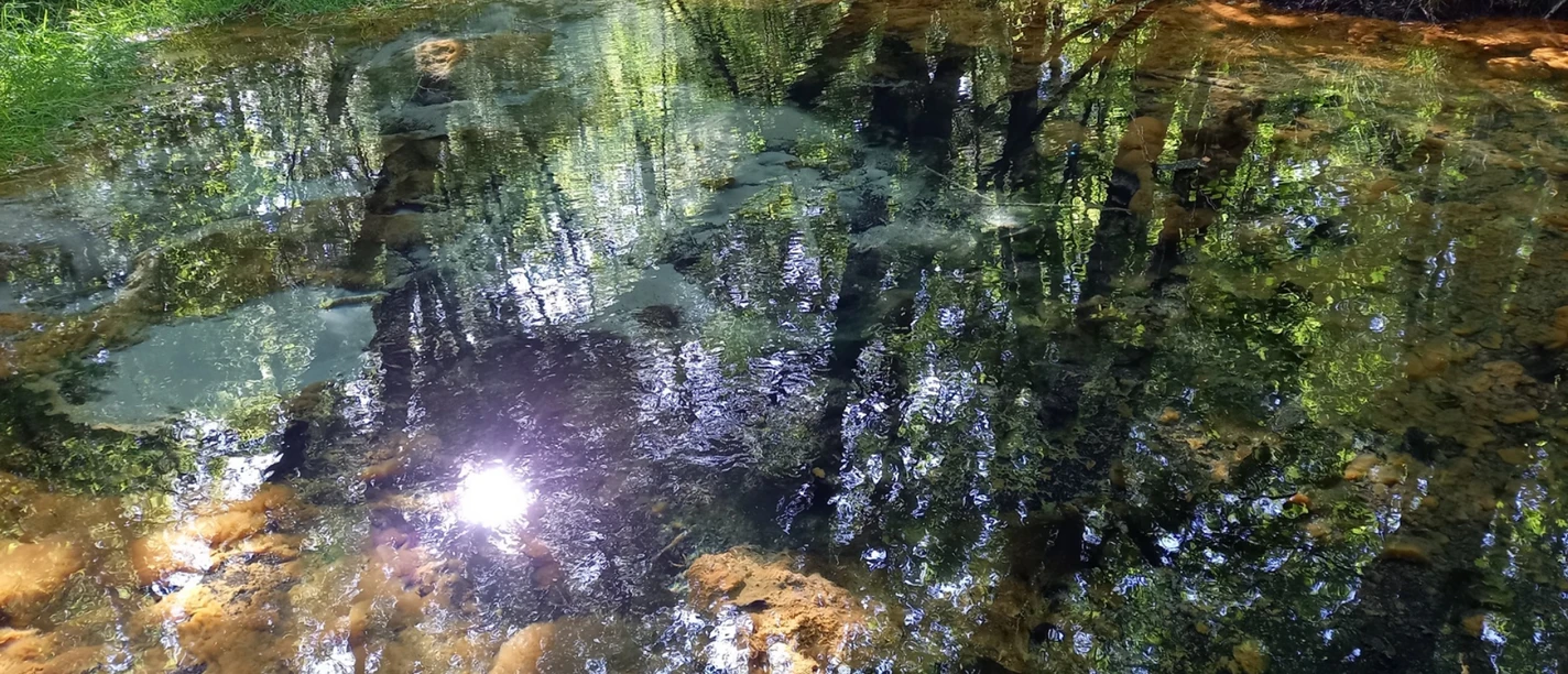 Schwindequelle Spiegelungen von Bäumen und Sonnenlicht im klaren Wasser der Schwindequelle in einem Waldstück.