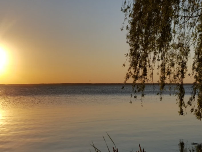 ba3 Sonnenuntergang über einem ruhigen See mit hängenden Weidenzweigen und sanftem Wasserspiegel.