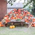 Eine Pyramide aus verschiedenfarbigen Kürbissen neben einer Backsteinmauer und zwei Holzbänken.