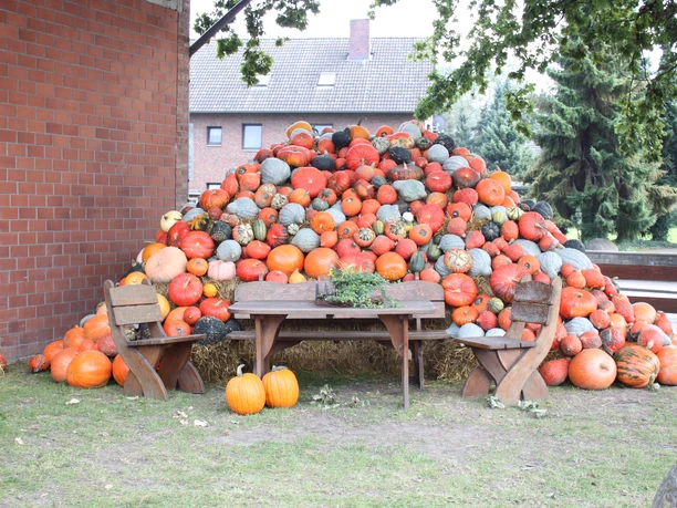 Eine Pyramide aus verschiedenfarbigen Kürbissen neben einer Backsteinmauer und zwei Holzbänken.