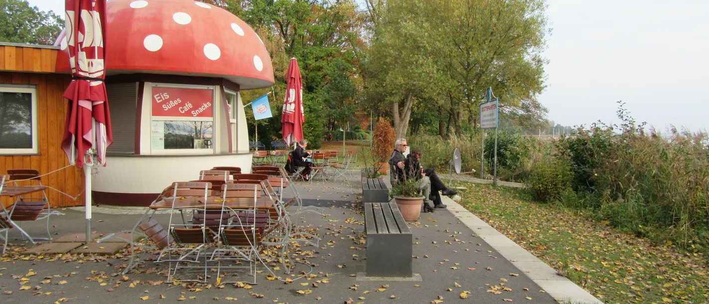 Café with toadstool roof in autumnal surroundings, surrounded by colorful foliage and seating.