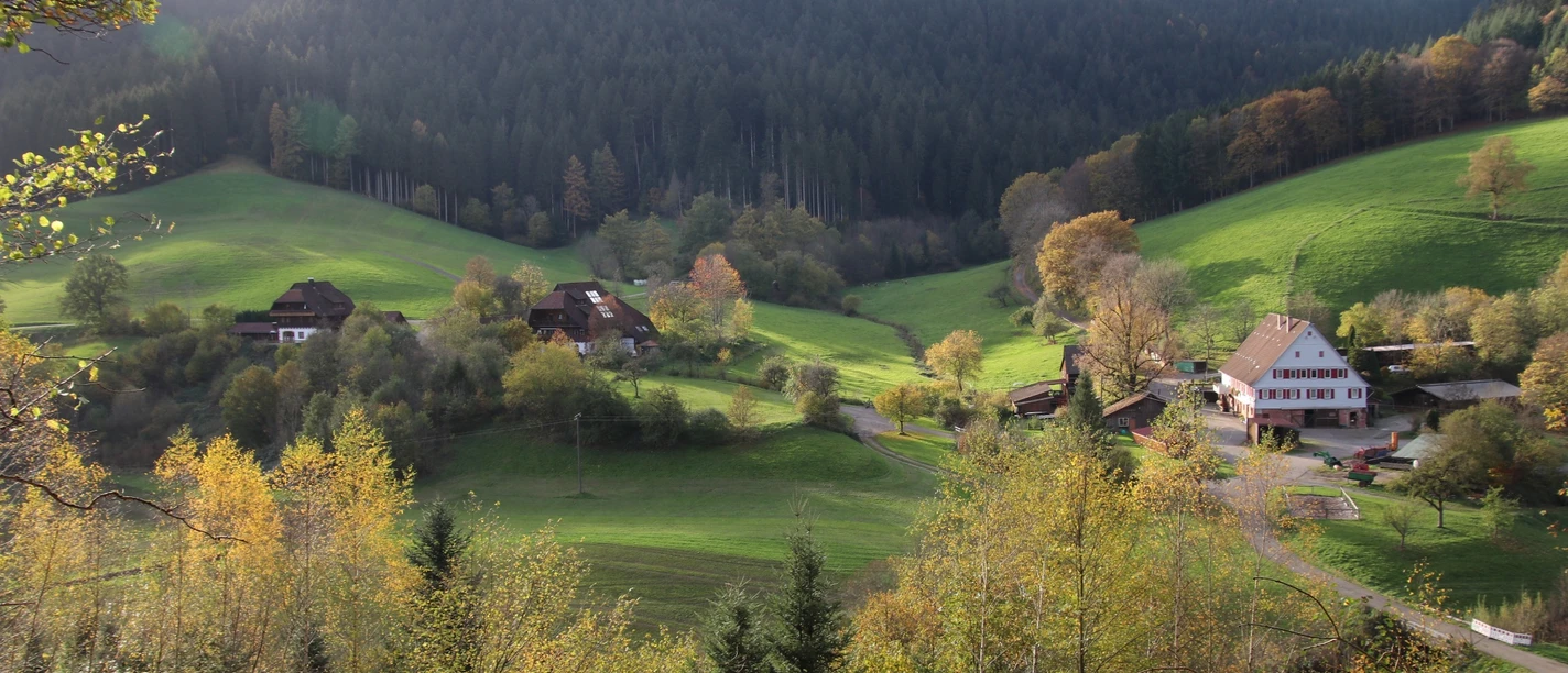 Blick auf das Ehlenbogener Tal vom Eisenbaherweg aus