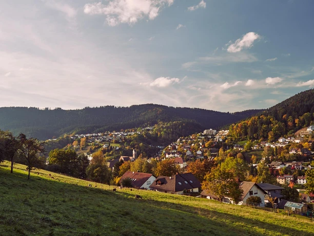 Blick über Alpirsbach