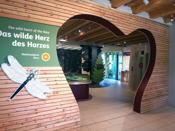 Wildes Herz des Harzes