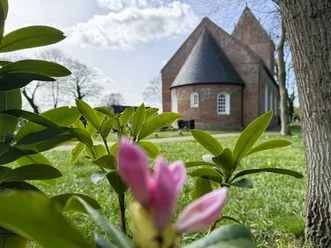 Kirche Backemoor Eine rosa BlĂĽte vor der Ev.-luth. Kirche Backemoor auf einer grĂĽnen Wiese unter blauem Himmel.