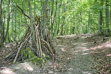 Im Wald