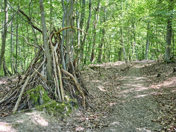 Im Wald