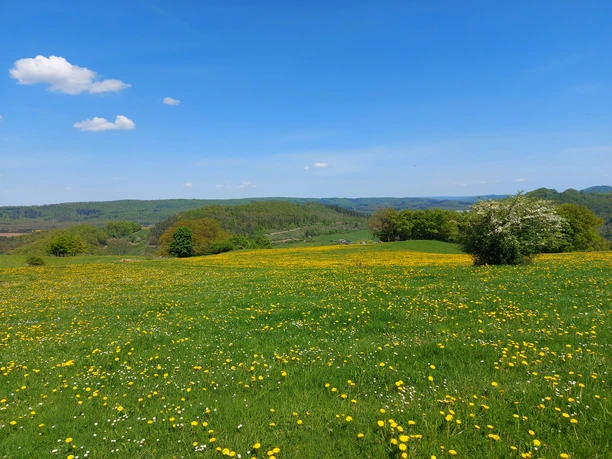 Am Jakobsweg Padberg