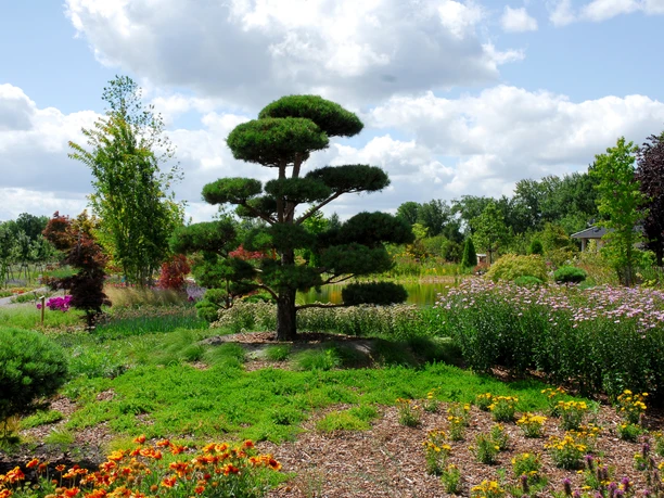 View of Grandpa Erny's garden