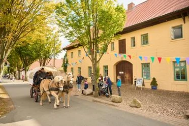 Museumsfest.jpg