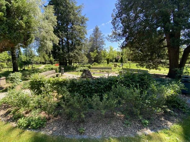 Garten der Stille Alter Friedhof Gemeinde Steinhagen Grüner Parkbereich mit Sitzbänken, altem Baumbestand und ruhigem Rondell.
