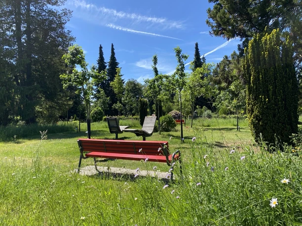 Drehliegen Alter Friedhof Gemeinde Steinhagen Rote Bank und Drehliegen auf Wiese im Park Alter Friedhof, umgeben von Bäumen