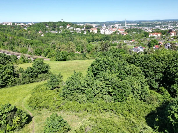 Ausblick vom Birkenhübel auf die Stadt Plauen