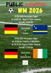 Public Viewing SMedia.jpg