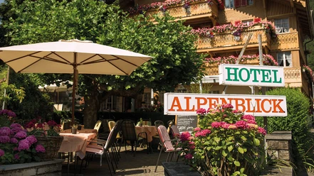alpenblick-wilderswil-sommer-aussenansicht