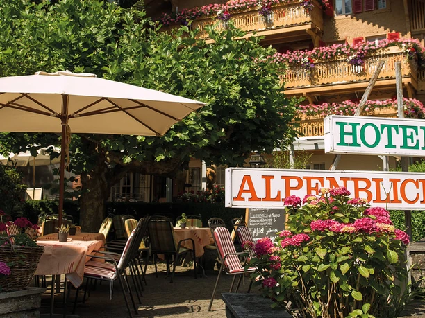 alpenblick-wilderswil-sommer-aussenansicht
