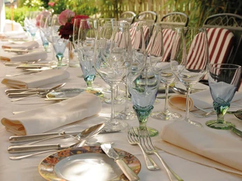 alpenblick-wilderswil-terrasse