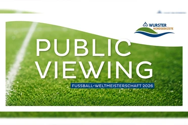 Public viewing.jpg