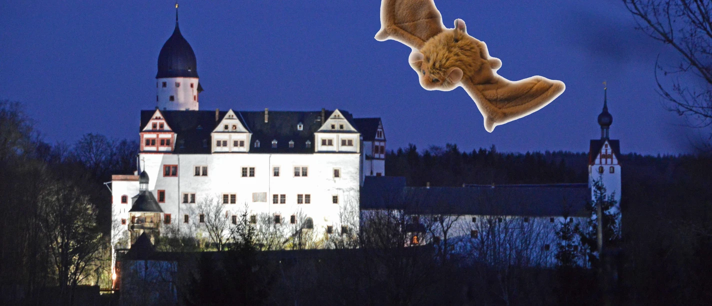 Rochsburg_NachtderSchlösser_2015.jpg