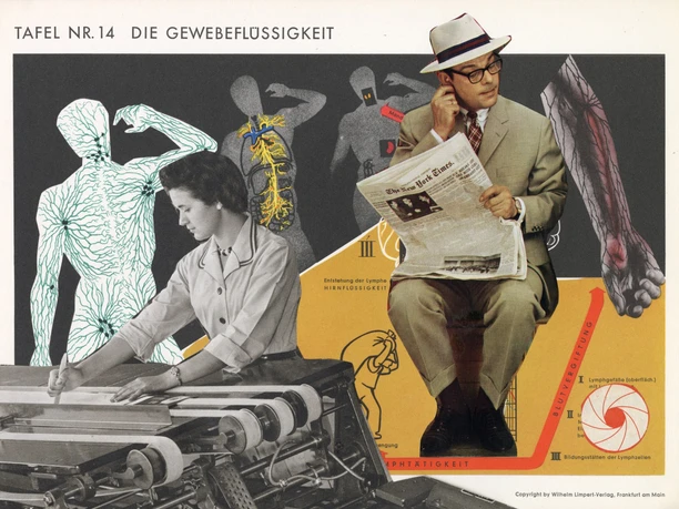 Remy_Sabine_2019_Tafel14AusGesundheitsatlas_Collage_23x31cm_.jpg
