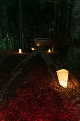 Nacht der Seilparks 2025 33