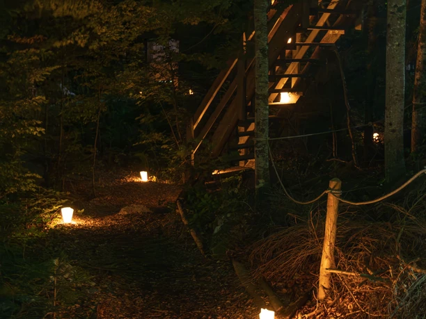 Nacht der Seilparks 2025 38