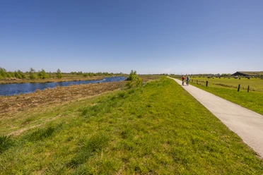 Radfahrer im Bargerveen 3