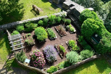 Wurzgarten von oben