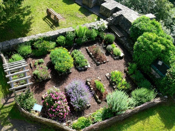 Wurzgarten von oben