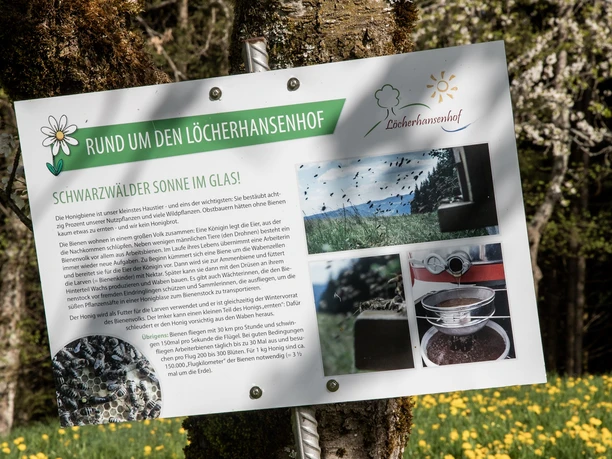 Kuh-Erlebnispfad Löcherhansenhof/Infotafel zum Honig