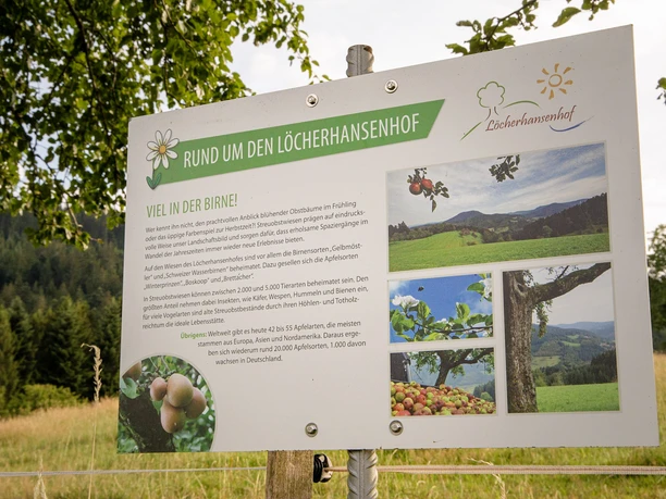Kuh-Erlebnispfad Löcherhansenhof/Infotafel Landwirtschaft