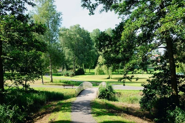 Parkanlage im Teich Foto 1.jpg