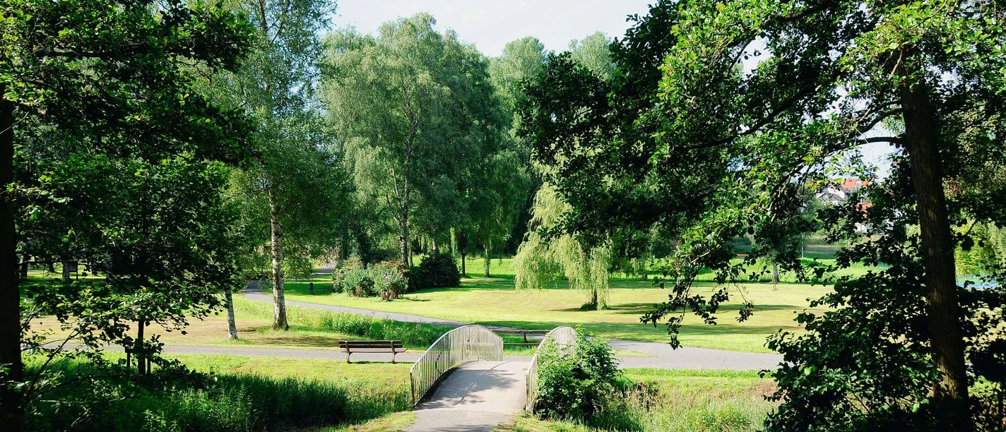Parkanlage im Teich Foto 1.jpg