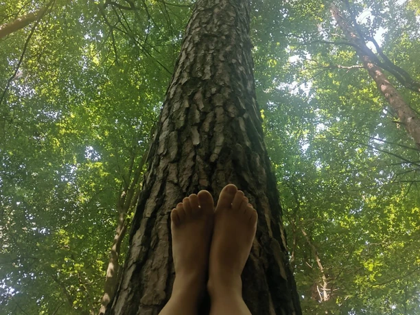 Yoga im Wald
