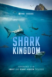 Shark Kingdom web